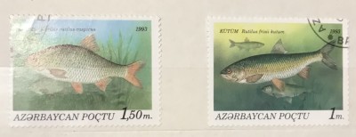 (A) Timbre straine serii tematica Fauna Pesti foto