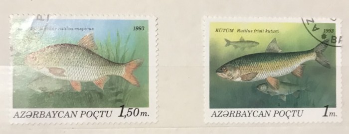 (A) Timbre straine serii tematica Fauna Pesti