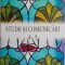 Studii si comunicari 4-5 (Museum Arad)