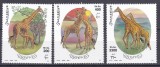 DB1 Somalia 2000 Fauna Africana Girafe 3 v. MNH, Nestampilat