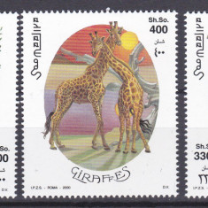 DB1 Somalia 2000 Fauna Africana Girafe 3 v. MNH