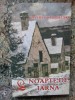 Valere Staraselski - Noapte de iarna