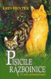 Pisicile Razboinice Vol.5: O cale primejdioasa - Erin Hunter