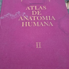 R. D. Sinelnikov - Atlas de Anatomia Humana Vol. II