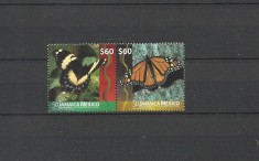 JAMAICA 2016 FAUNA INSECTE FLUTURI foto