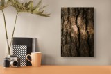 Tablou Canvas, "Umbrele drumului pe scoarța copacului", Textură, Scoarță, Arbori, Rugozitate, Lumină, Umbre, Natură, Rustic, Detaliu, Organic., 26 x 3