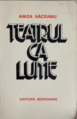 TEATRUL CA LUME-AMZA SACEANU-223016