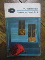 Orasul cu salcami, M. Sebastian, roman 1968, BPT