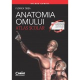 Cumpara ieftin Atlas scolar anatomia omului 2017 (Editie Revizuita) - Florica Tibea, Corint
