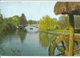 (A) carte postala(ilustrata)-BUCURESTI-Parcul Herastrau