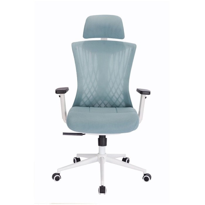 Scaun rotativ ergonomic de birou Ergomax, patină