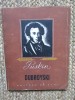 Dubrovski &ndash; A. S. Puskin