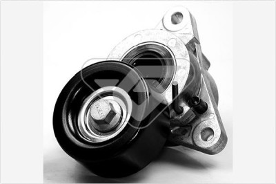 HUTCHINSON T0058 rola intinzator,curea transmisie foto