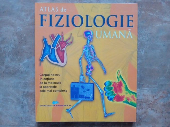 Atlas de Fiziologie Umana