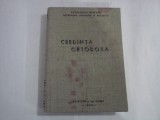 CREDINTA ORTODOXA - 1996