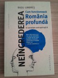 Radu Umbres Neincrederea Cum functioneaza Romania profunda