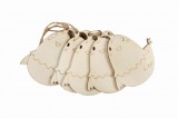 Accesorii pentru activitati crafts pirogravura lemn,puisor,7x7cm,5 bucati set