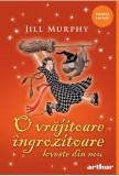 O vrajitoare ingrozitoare 2 ...loveste din nou, Jill Murphy