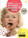 Cum Sa-Ti Ajuti Copilul Sa Treaca Peste Accesele De Furie - Sfaturi Si Sugestii Pentru Fiecare Zi, Madeleine Deny - Editura DPH