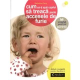 Cum Sa-Ti Ajuti Copilul Sa Treaca Peste Accesele De Furie - Sfaturi Si Sugestii Pentru Fiecare Zi, Madeleine Deny - Editura DPH