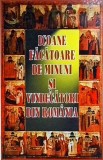 Icoane facatoare de minuni si vindecatori din Romania