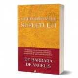 Metamorfozele sufletului. Invataturi revolutionare pentru o constientizare autentica, libertate emotionala si spiritualitate practica - Barbara De Ang
