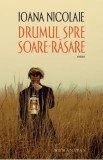 Drumul spre Soare-Rasare - Ioana Nicolaie