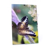 Cumpara ieftin Rama foto suspendabila sticla 10 cm x 15 cm