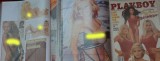 Mapa Fan Club Pamela Anderson Vol 2 din 3