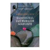 Dumnezeul lucrurilor marunte - Arundhati Roy