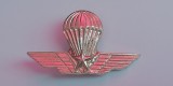 QW9 N 8 - insigna - militar - parasutism - parasuta - aripi - stea