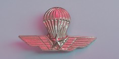 QW9 N 8 - insigna - militar - parasutism - parasuta - aripi - stea