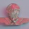 QW9 N 8 - insigna - militar - parasutism - parasuta - aripi - stea