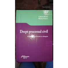 Drept procesual civil - Gabriel Boroi , Mirela Stancu (editia a 3-a)