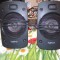 2 boxe-sateliti Logitech (LOGITECH Z906), pot fi folosite la sisteme 2.1, 5.1 sau la microsisteme audio, grele pentru marimea lor, inaltime 10 cm