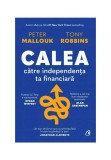 Calea catre independenta financiara, Curtea Veche