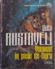 Voinicul in piele de tigru - Sota Rustaveli, Carte Anticariat