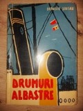 Drumuri albastre- Dionisie Sincan