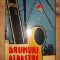 Drumuri albastre- Dionisie Sincan