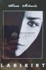 Labirint - Alexa Mihaela, 2014, Stef, 130 pagini, brosata, stare buna - Anticariat