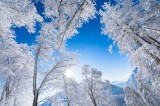 Tablou Canvas, "Strălucirea iernii sub cer senin", Alb, Strălucitor, Iarnă, Cer, Albastru, Zăpadă, Copaci, V&acirc;rfuri, Soare, Luminos, Crisp, Natură, Fri
