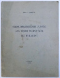 STEINKUPFERZEITLICHE PLASTIK AUS EIENEM WOHNHUGEL - BEI BUKAREST von DINU V. ROSETTI , 1939