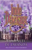 Dimineti de lavanda - Jude Deveraux
