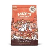 Cumpara ieftin Lily&#039;s Kitchen Dog Chicken &amp; Salmon Puppy Recipe Dry Food 7kg