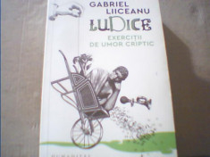 Gabriel Liiceanu - LUDICE / Exercitii de umor criptic { Humanitas, 2019 } foto