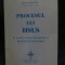 Procesul lui Iisus Ioan Fruma