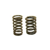 Supapa KTM 450 520 525, Beta RR 400 450 525 Enduro