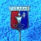 Insigna fotbal - CSS ARAD