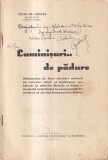 Cezar Gr. Cristea - Luminisuri de padure. Probleme ingineresti si agro-silvice