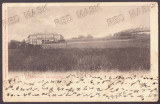 4682 - TIMISOARA, Litho, Romania - old postcard - used - 1899